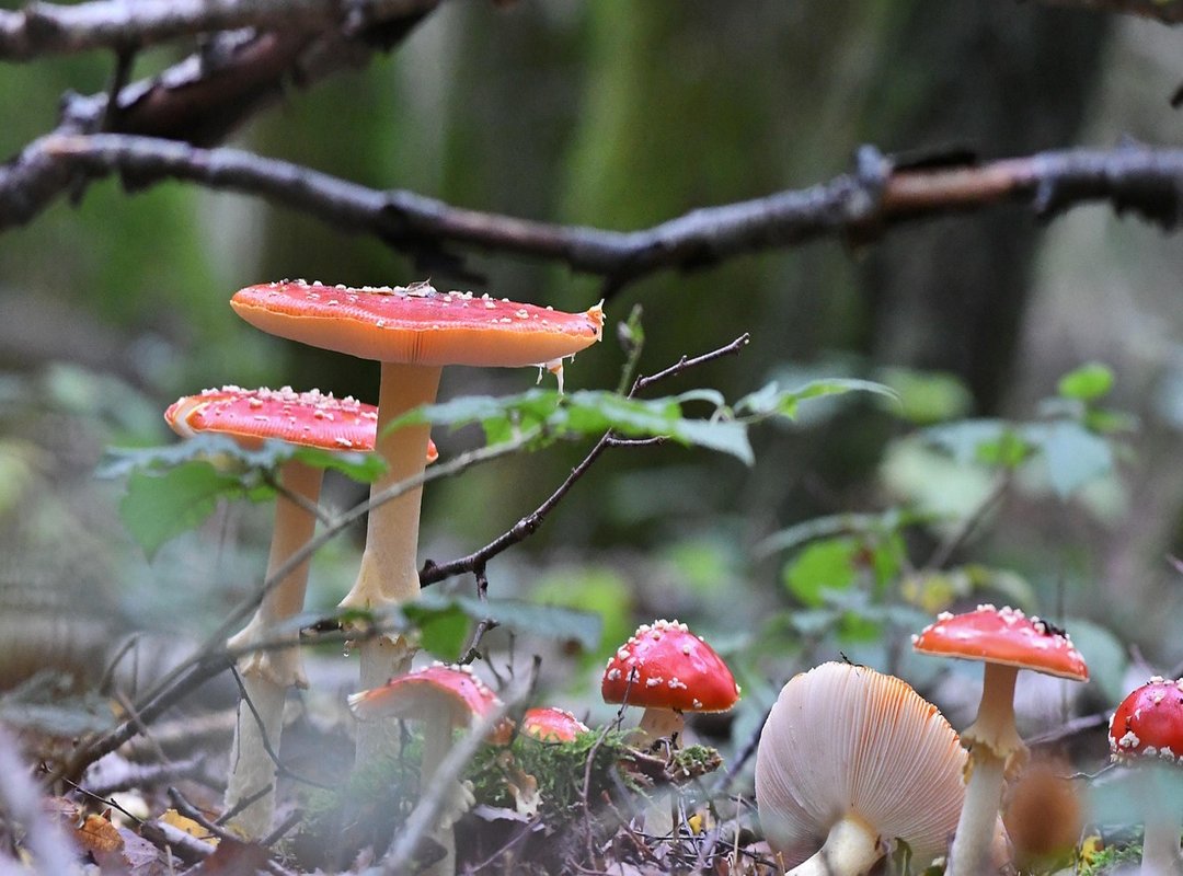 buenas tardes gif graciosos