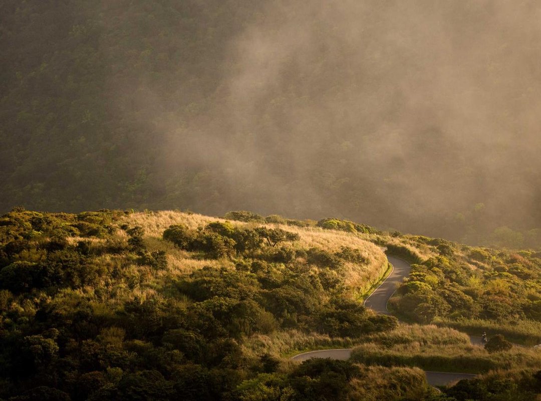 How to Draw the Human Backside: A Step-by-Step Guide