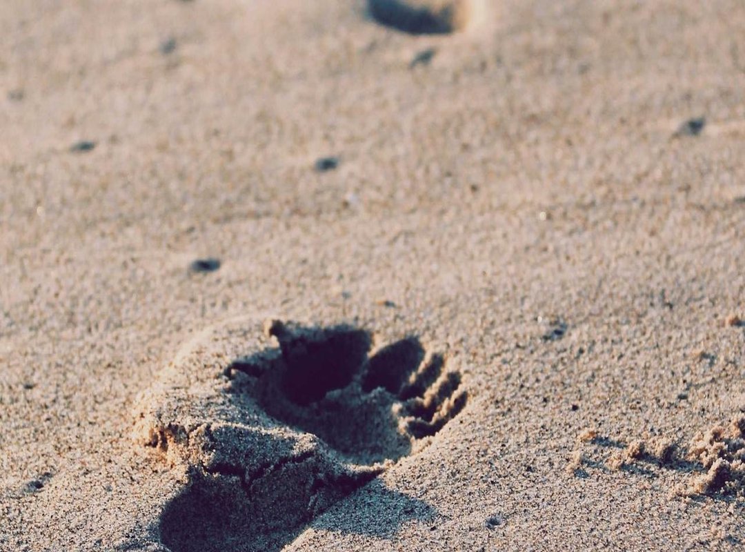 'Gently Perv' vs. 'Simp' vs. 'Stan': Understanding the Differences