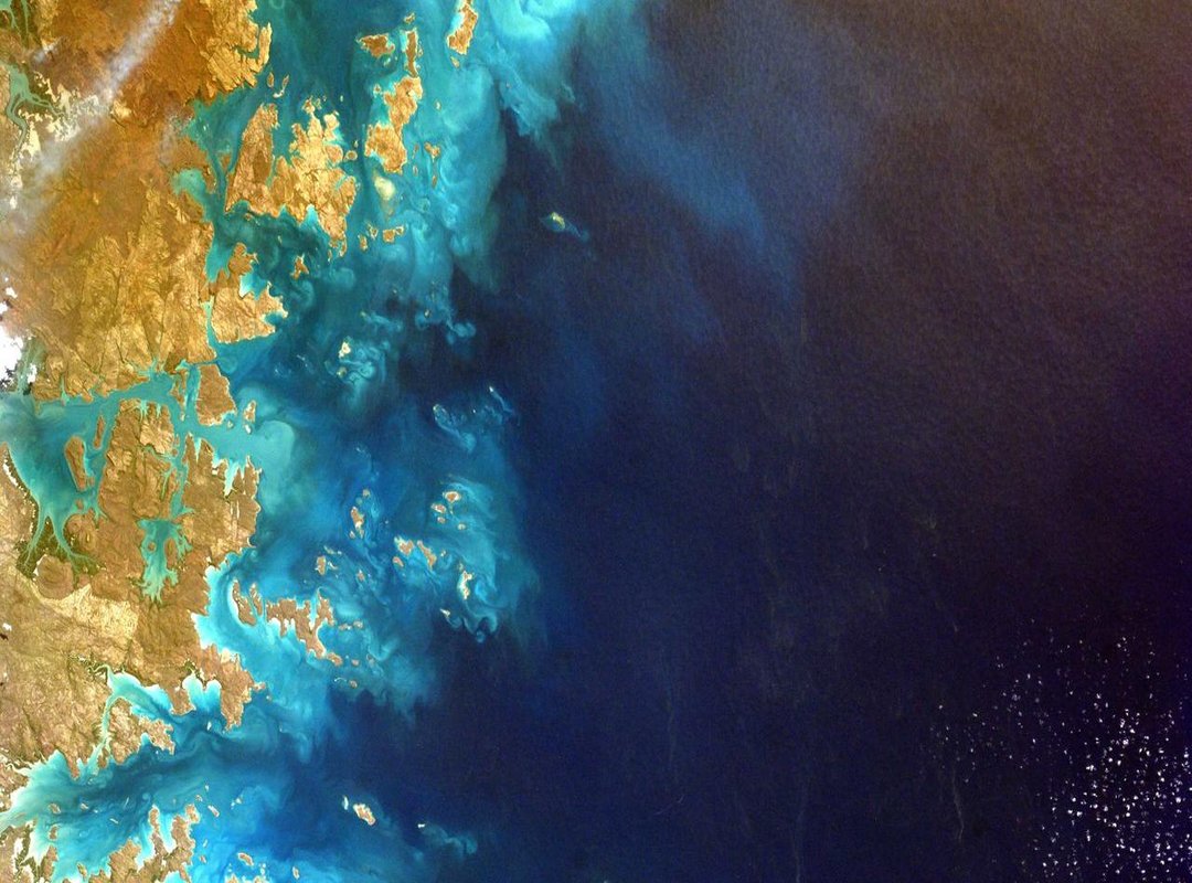 Essential Info: Location, Hours, and Ordering