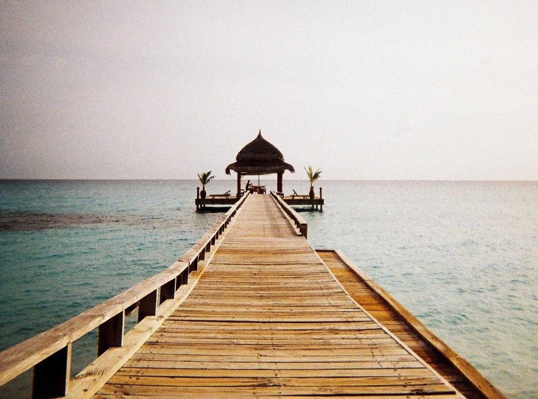 The Anatomy of a Viral Moment: Why This Clip Exploded