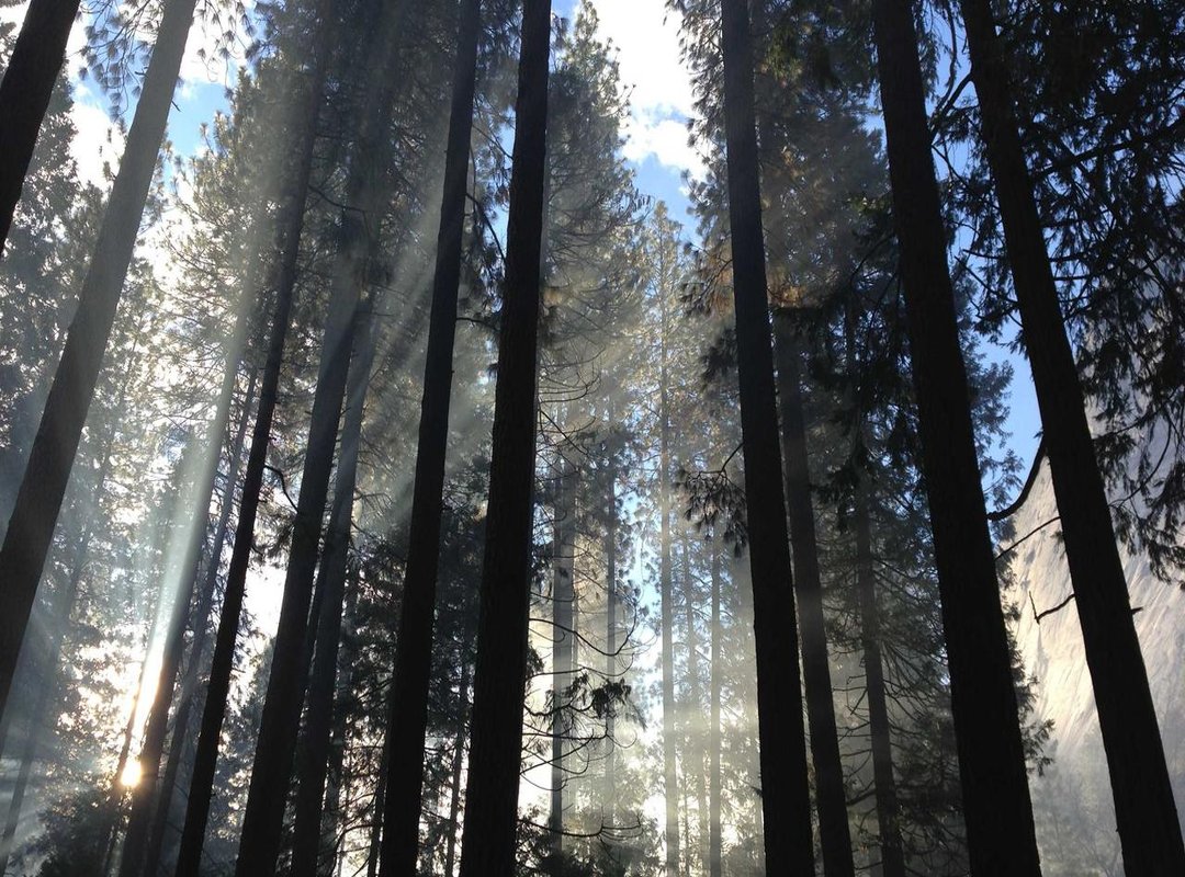 Decoding the Content: Style, Themes, and Audience