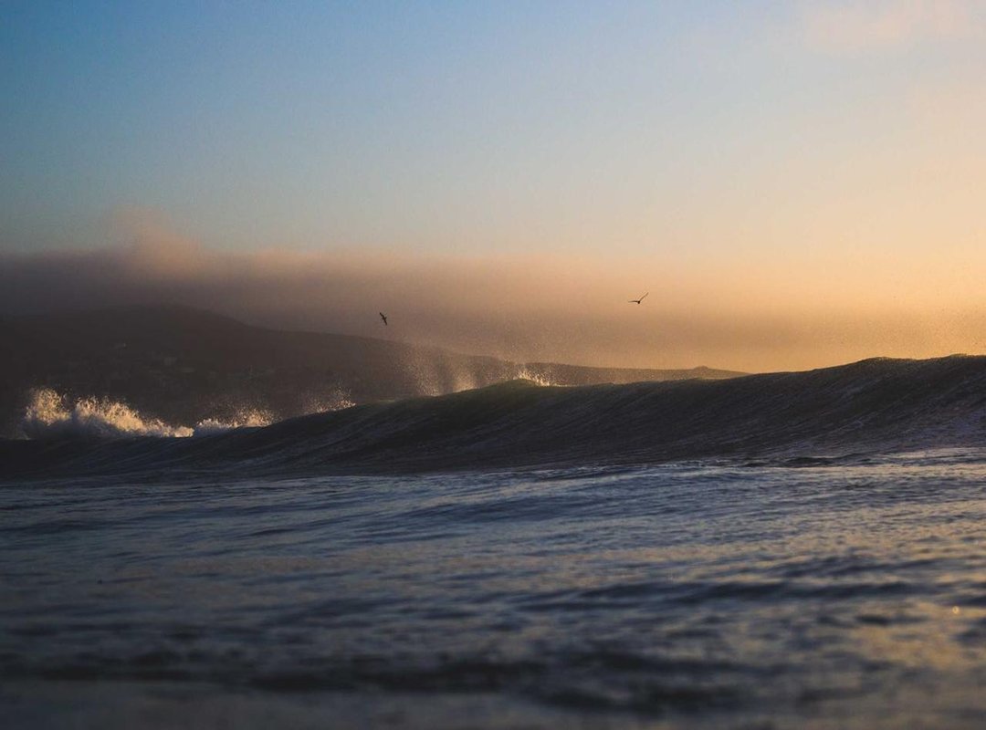 Fueling Growth: The Nutritional Blueprint for Building Muscle