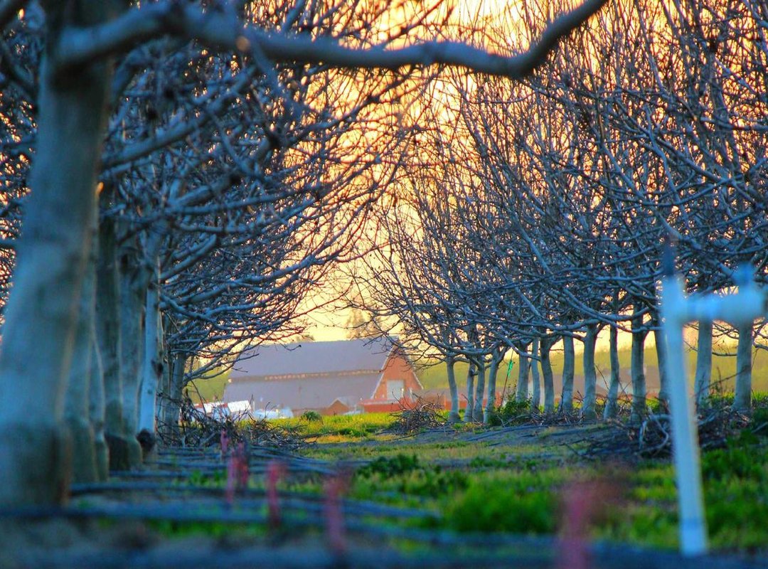 Dark Humor and Wildcard Energy: The Funniest Simon GIFs