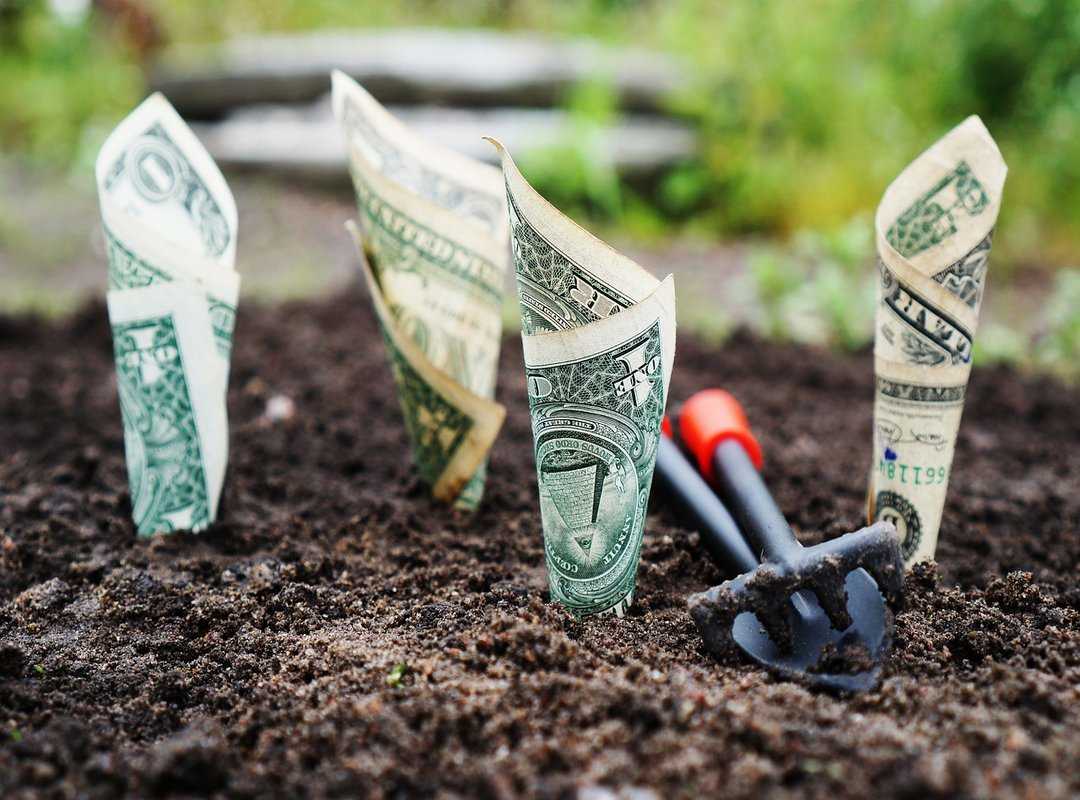 tax advantaged accounts