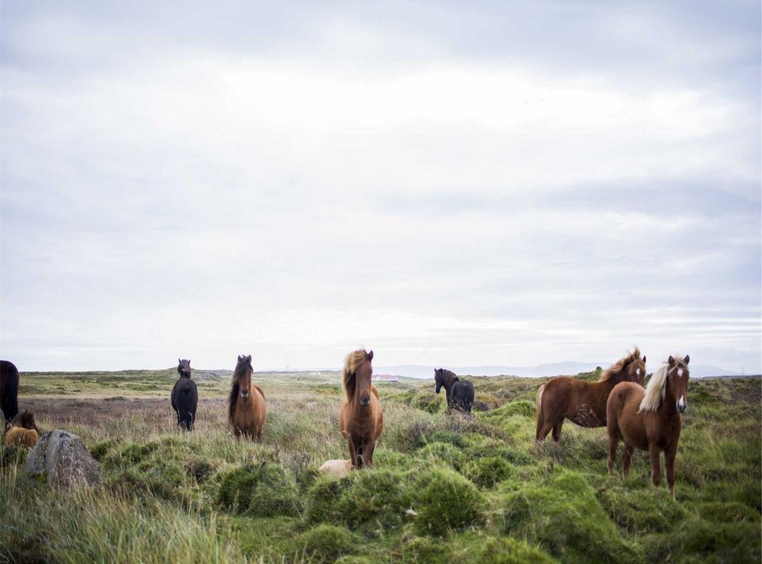 Cultural Significance: More Than Just Arena Music